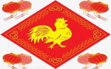 竖鸡蛋的作文最新6篇