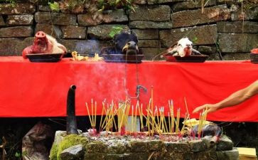 祭祀倡议书精选8篇