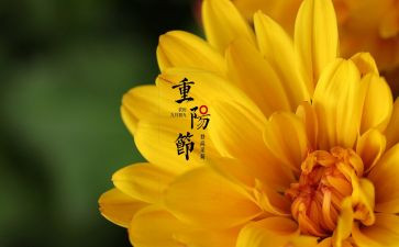 与校园安全的演讲稿优质8篇