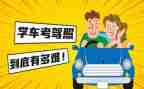 年度保育组工作计划8篇