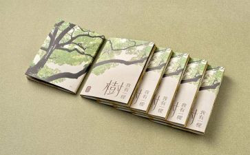 不借钱申请书7篇
