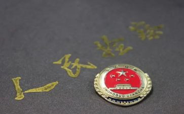 个人检察工作总结6篇