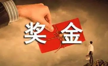 申请奖金报告6篇