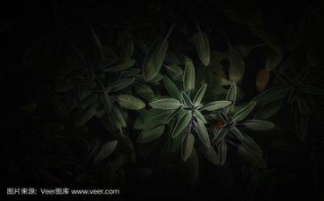 2023年保安年终总结最新5篇