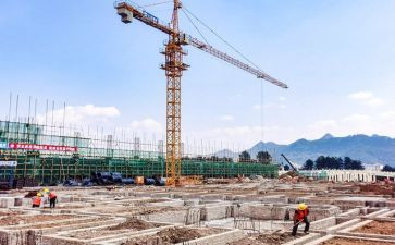2022年德育心得体会8篇
