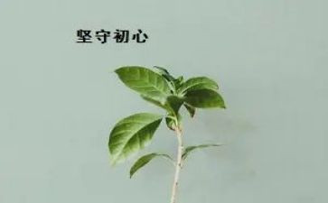 2023保安年工作总结通用7篇