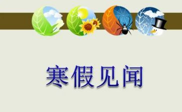 个人电商的工作总结模板8篇
