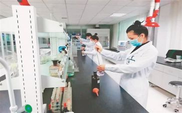 检验工作的工作计划最新8篇