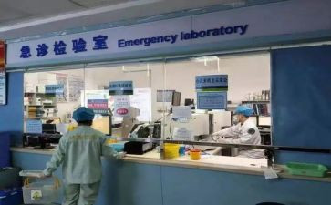检验室个人总结8篇