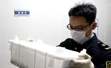 动物检疫工作总结7篇