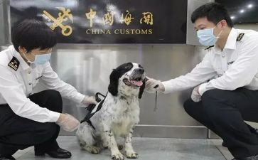 《故乡》心得体会300精选5篇
