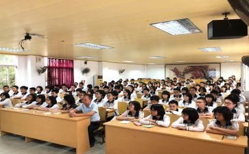 学校政教处的工作总结6篇