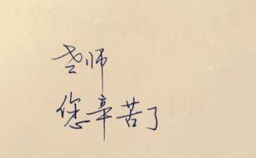 新教师体育工作计划7篇