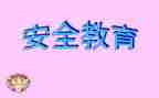 教育安全总结范文8篇