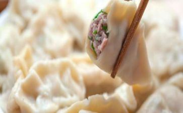 饺子优秀作文推荐8篇