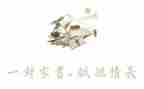 家书作文600字5篇