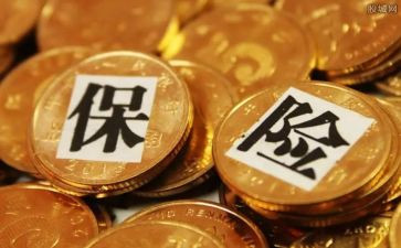 机保工作总结5篇