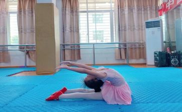 个人试用期工作总结模板最新5篇