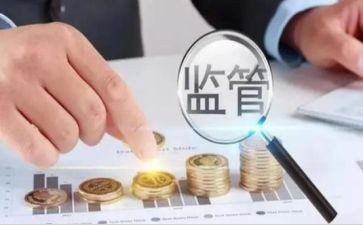 2024年稽查员工作月总结7篇