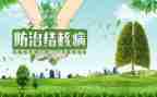 六年级语文学期教学工作计划5篇