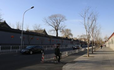 2023年村卫生室工作总结参考8篇