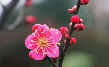 个人餐厅年终总结8篇