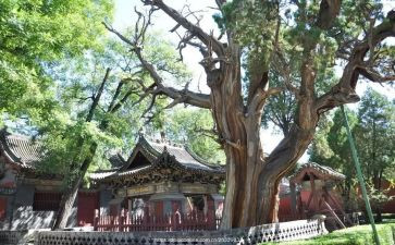 晋祠参观心得最新7篇
