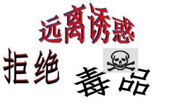 2023年工厂的总结报告5篇