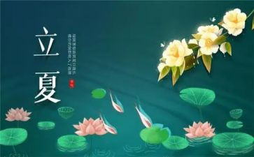 24节气的教案优质6篇