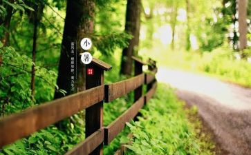 24节气教案推荐8篇