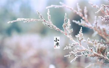 24节气的教案6篇