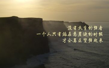 团队精神培训的心得体会7篇