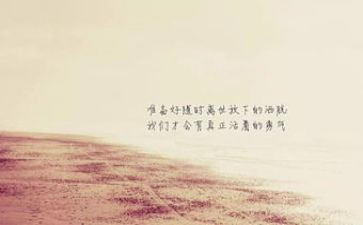 中国女排精神的心得体会7篇