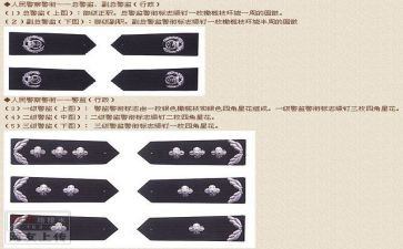 2024年警衔晋升自我鉴定6篇