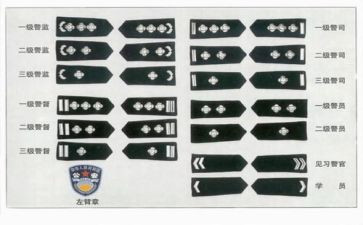 119消防安全演讲稿300字6篇
