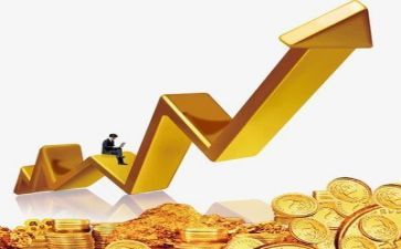 金融办述职报告精选5篇