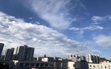 中学思想工作总结5篇