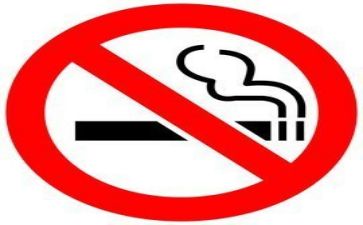 个人文员年终总结优质8篇