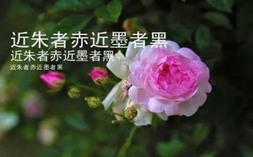 2022年毕业的工作计划7篇