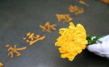 业务部年度工作总结5篇