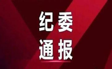 机委工作总结6篇