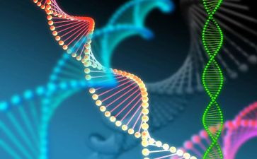 2023中班保育工作计划最新5篇