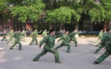 军训军体拳心得体会8篇