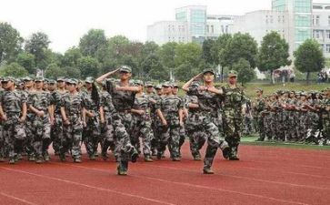 军训时的心得体会500字通用6篇