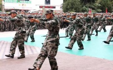高二军训心得体会5篇