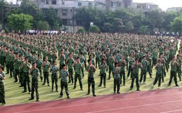 军训心得体会300作文精选5篇
