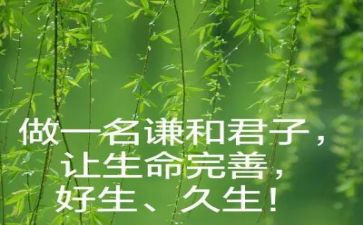 2022年质检科年终总结8篇