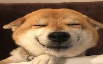 315诚信的演讲稿推荐7篇
