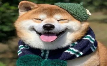那天我开心作文5篇
