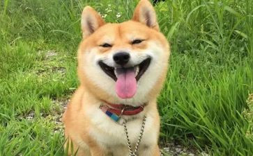 一件开心的事的作文6篇